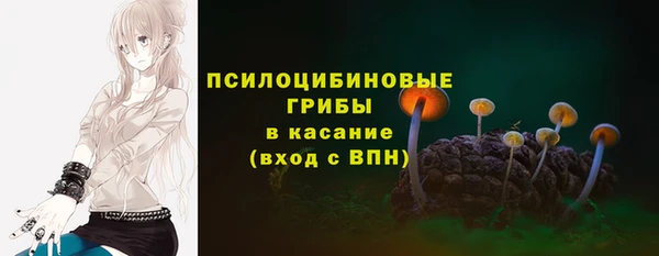 спиды Балахна